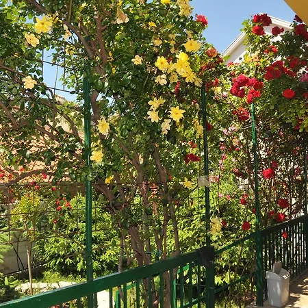 Casa de hóspedes 3a