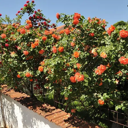 Casa de hóspedes 3a